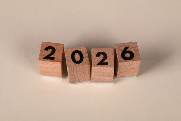 2026 visual data 3