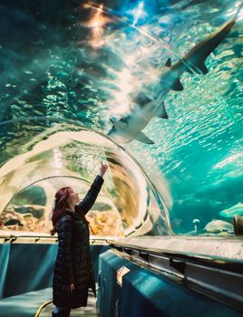 Woman marvels at a shark swimming overhead in a mesmerizing aquarium tunnel.