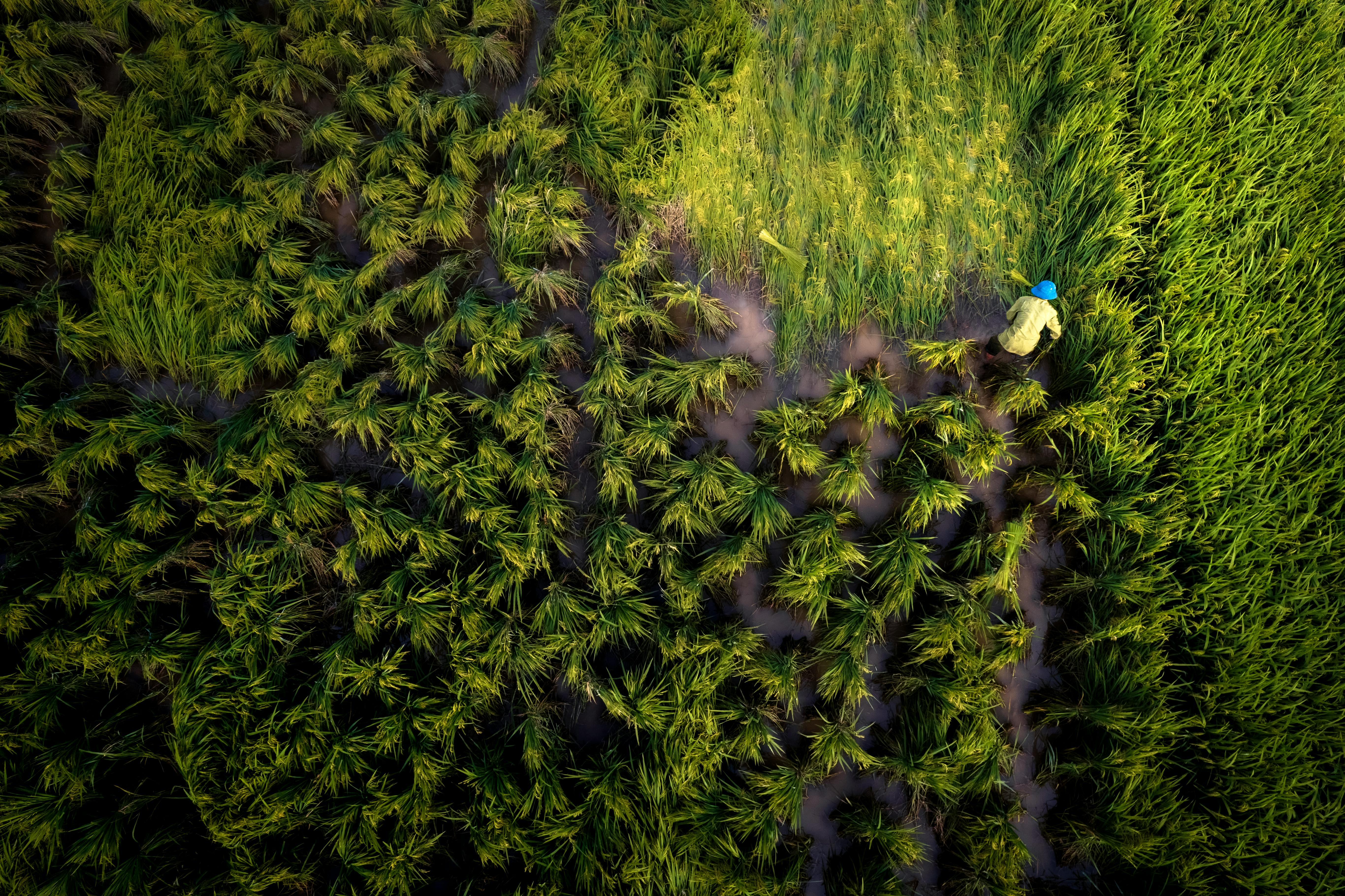 자연 친화적 농업