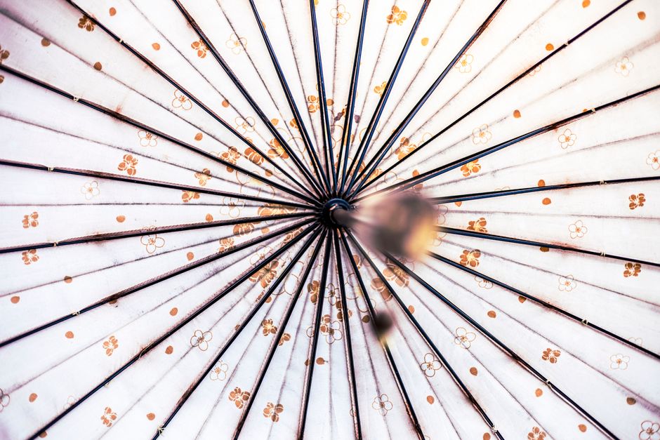 Close-up of a decorative umbrella with intricate floral patterns and radiating spokes.