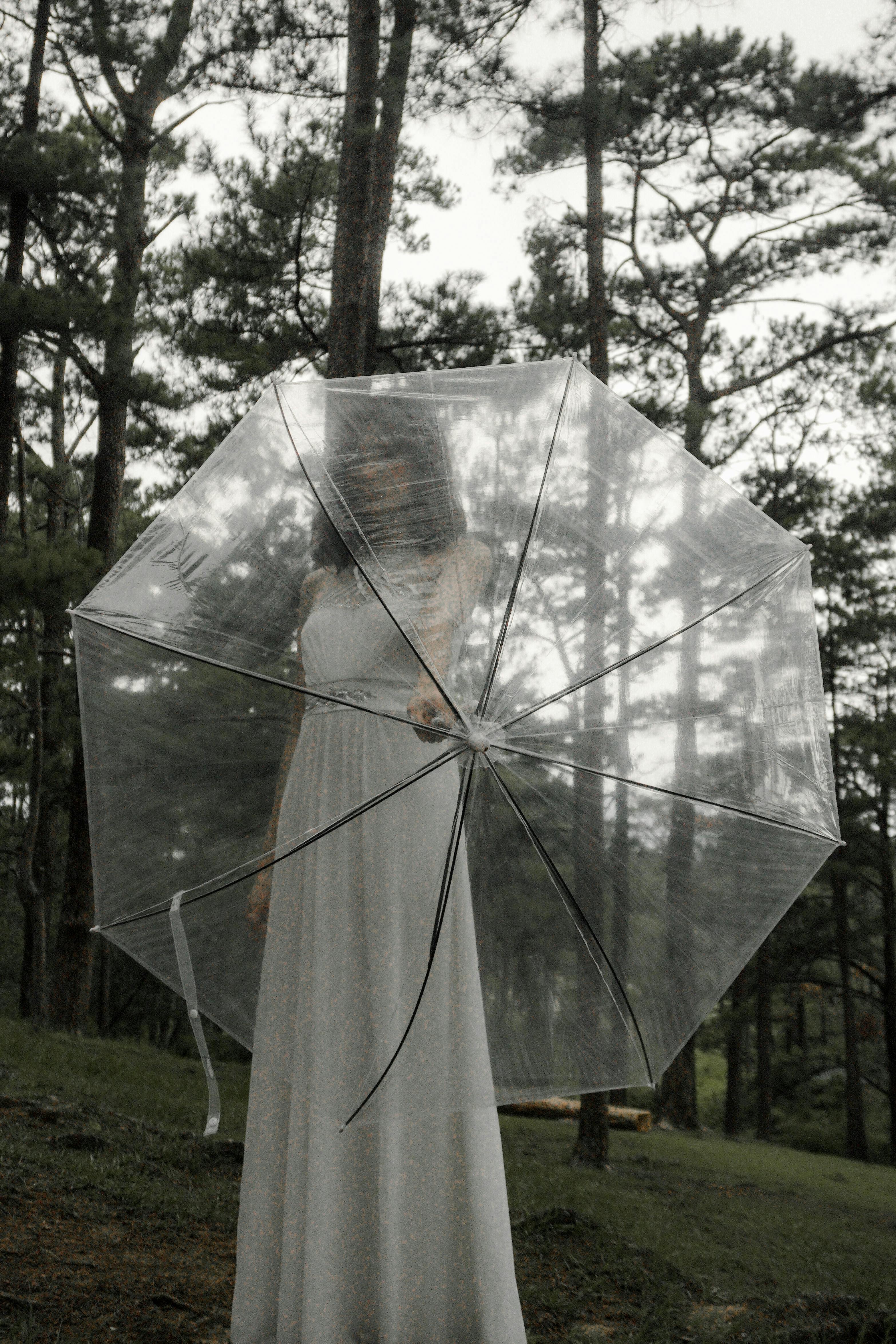 一名女子身穿白色连衣裙，在树木繁茂的森林中撑着一把透明的伞