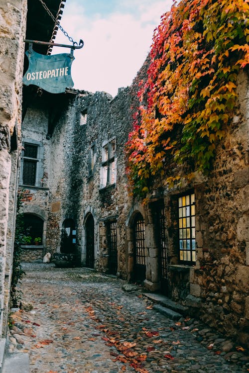 Vines On Wall