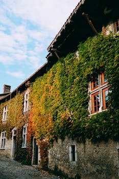 一座拥有复古建筑、风景如画的常春藤覆盖房屋，坐落在安静的街道上