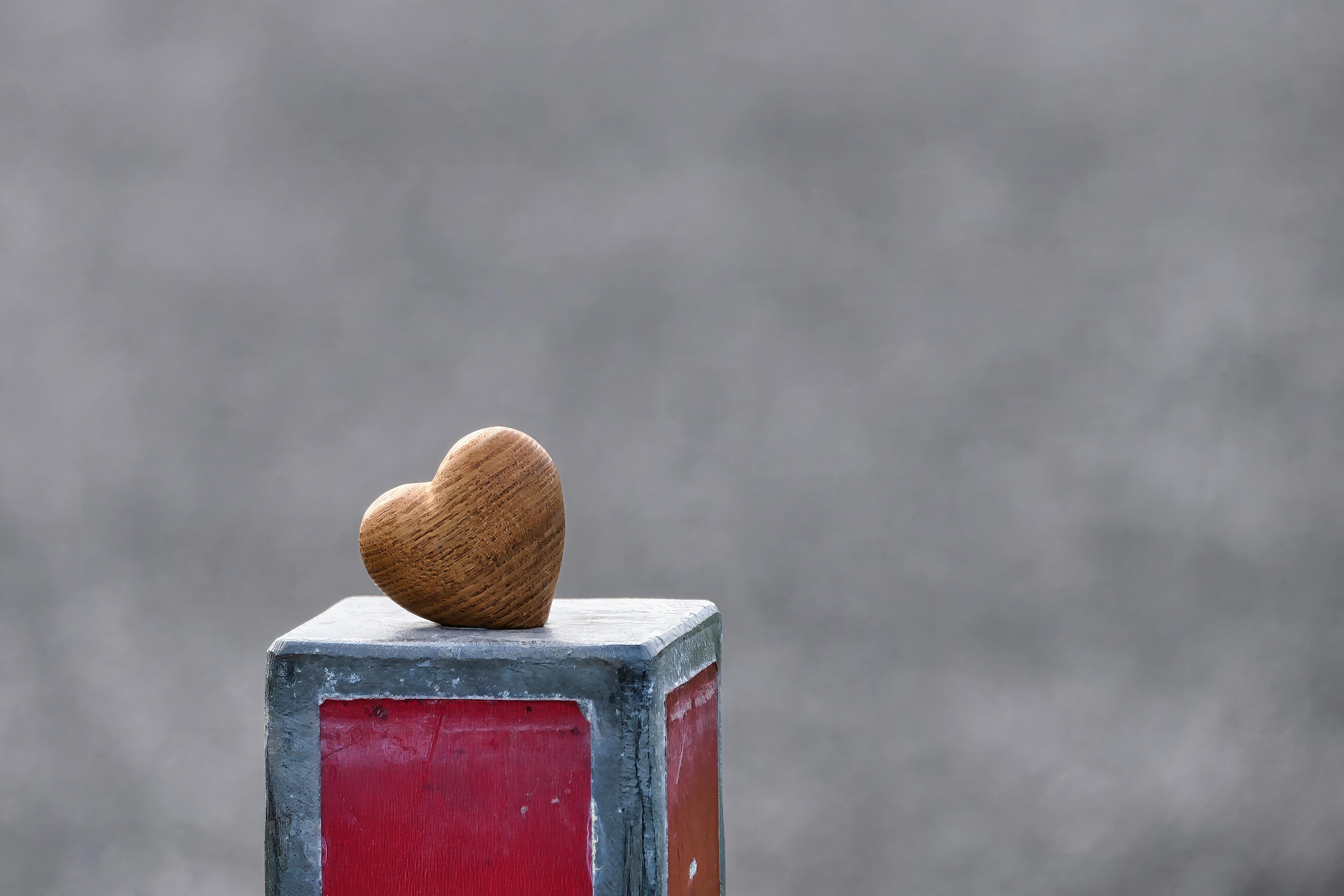 무료 사랑을 상징하는 붉은 받침대 위에 나무 하트를 담은 미니멀리스트 사진입니다. 스톡 사진