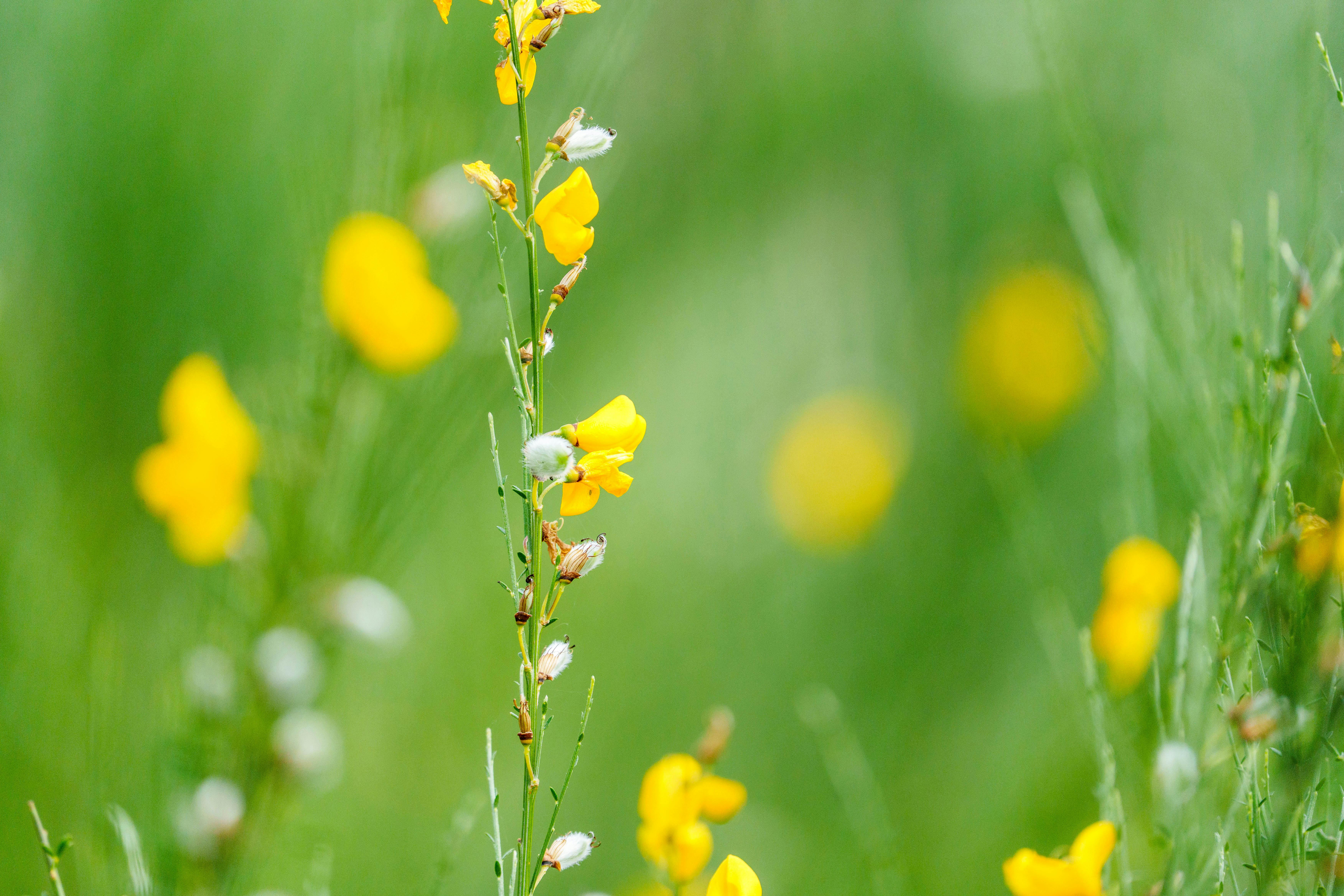 Spice Up Your Life: How Herbs and Spices Can Revolutionize Your Cooking Repertoire