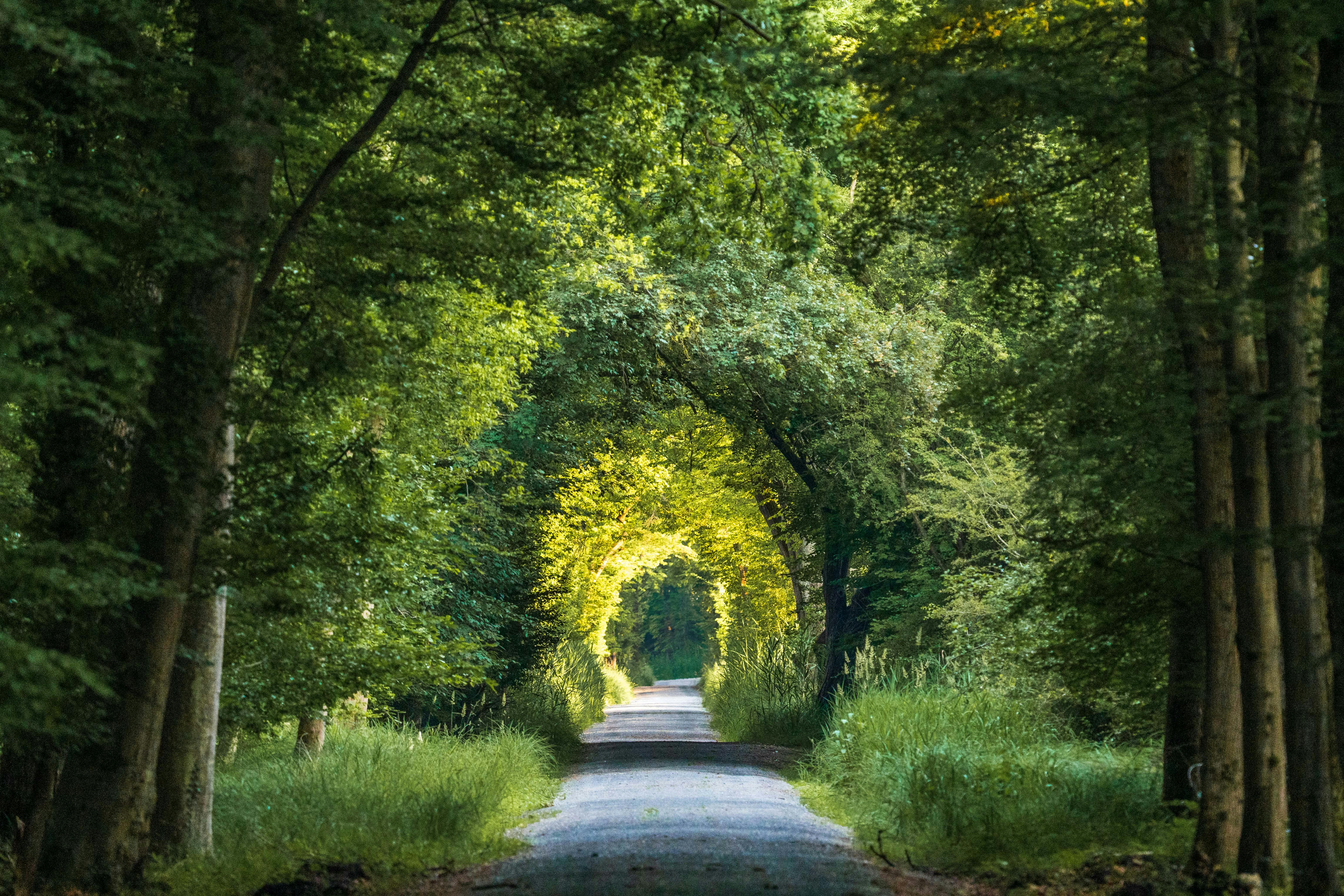生活：花蓮5大靜謐慢活秘境，賞螢、香草浴讓靈魂深呼吸！