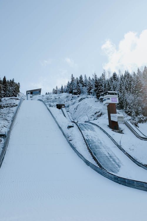 Ice Slide by Trees