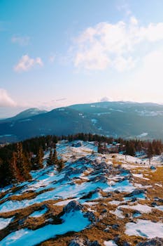 黎明时分，在充满活力的天空下，白雪覆盖的山脉和松树清晰可见