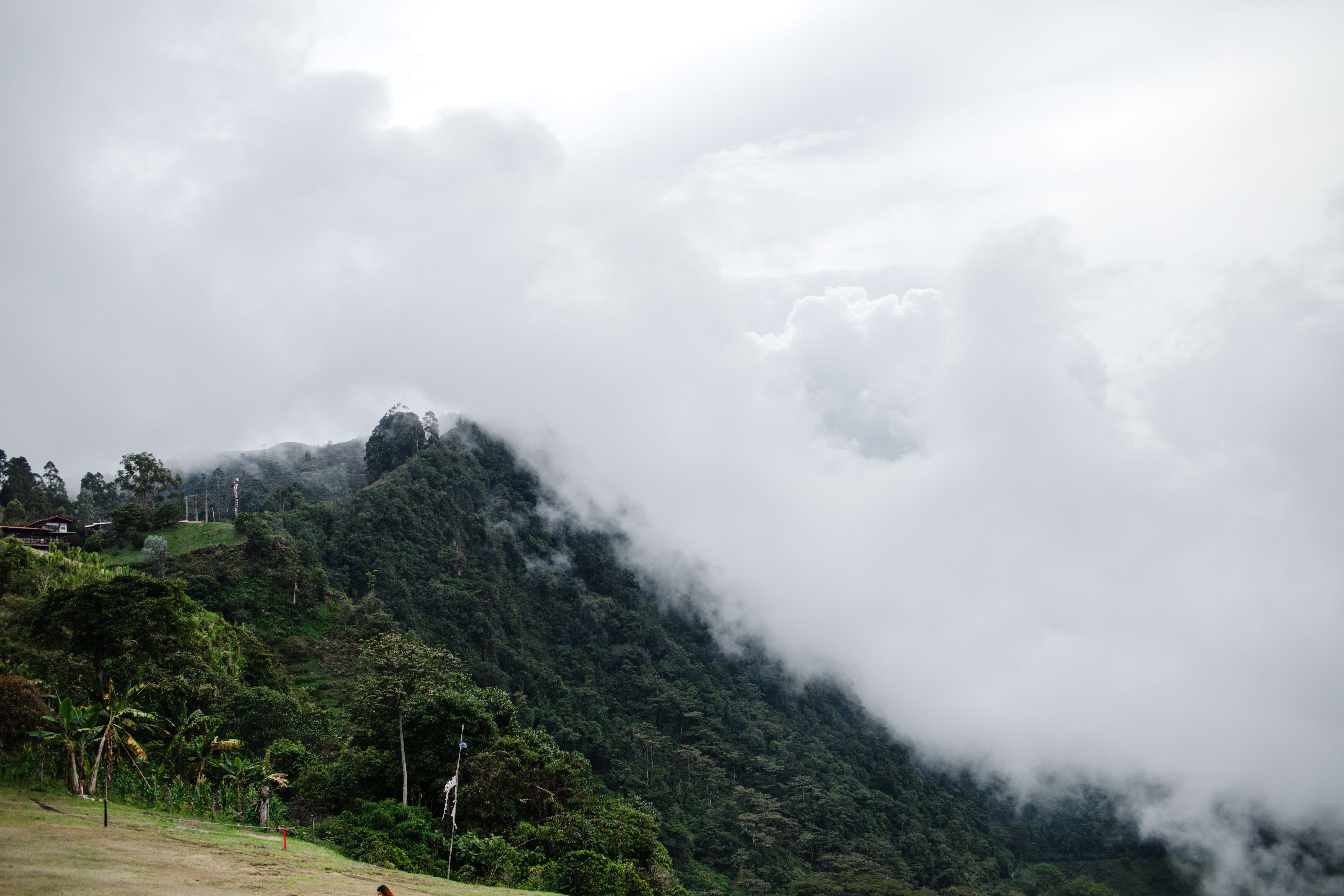 17 Day 200 Hour All-Inclusive Yoga Teacher Training in Costa Rica 2