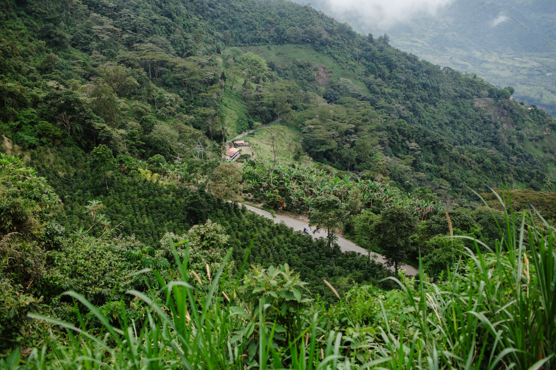 Agricultural landscape in Jericó, Colombia