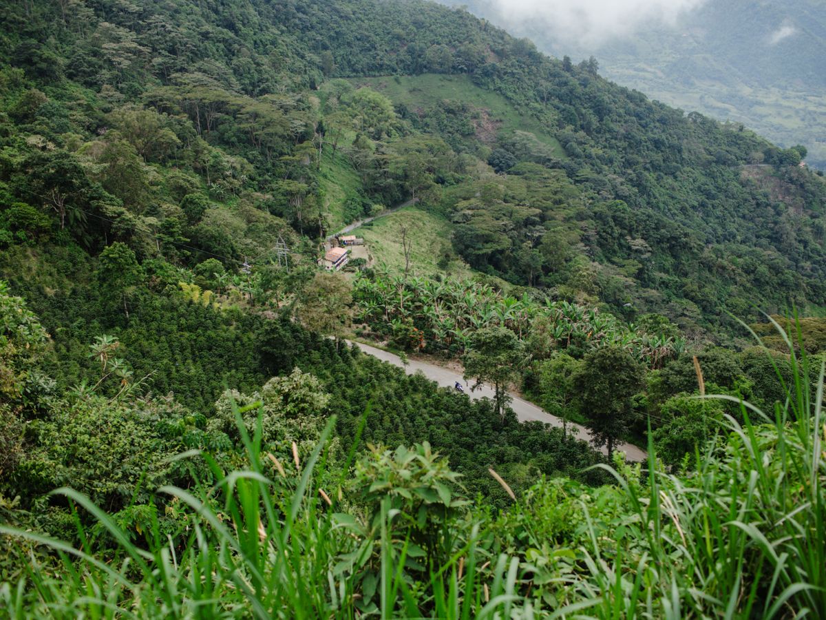 Minca Retreat 3