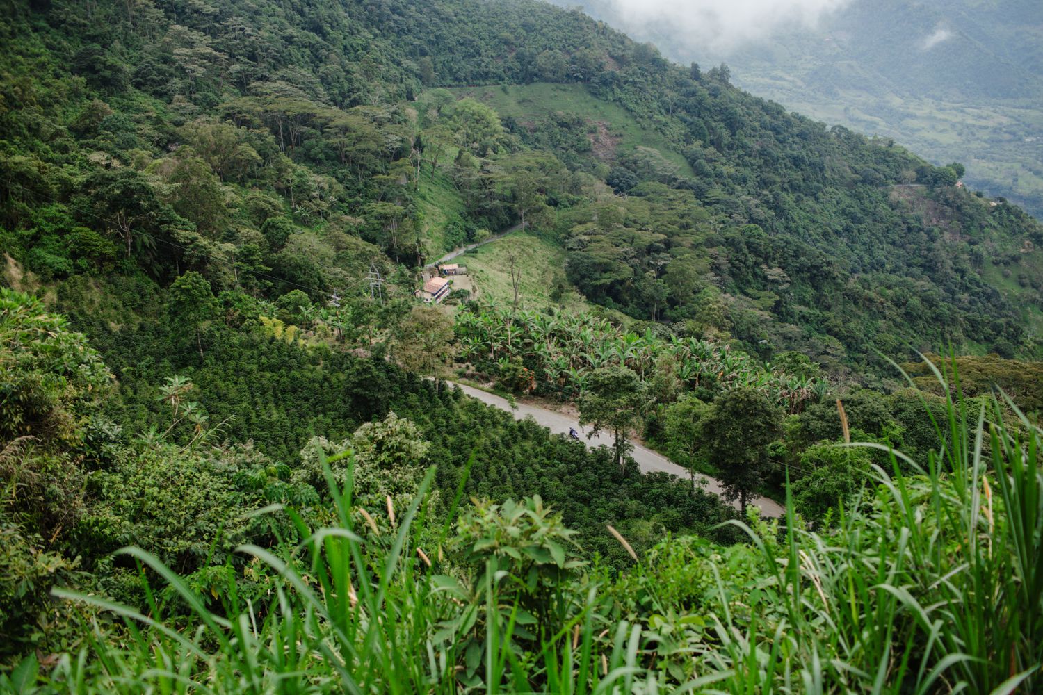 South America landscape