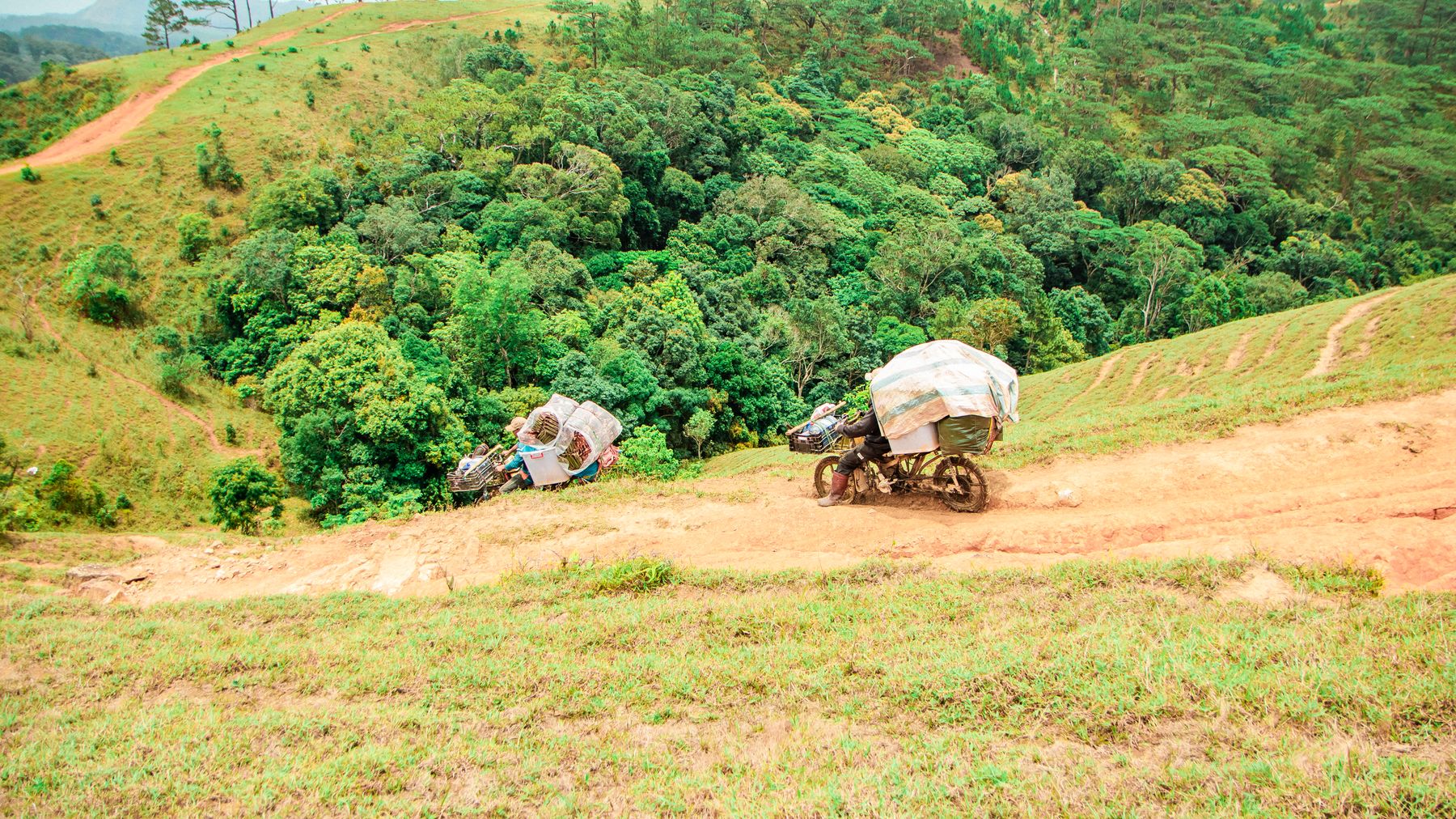 Motorbikes navigate a steep, dirt path through lush hills in Lâm Đồng, Vietnam.