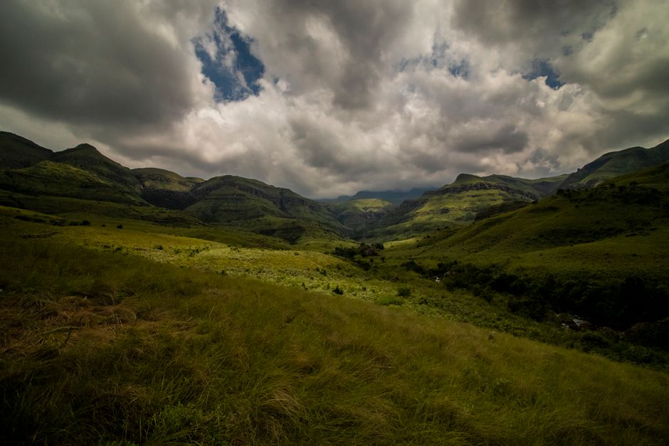 Outstanding Panorama Route Full Day Tour Review: South Africa's Most Breathtaking Scenic Adventure Review 2026 - Explore the lush, dramatic landscape of Cathkin Park in the Drakensberg Mountains, South Africa.