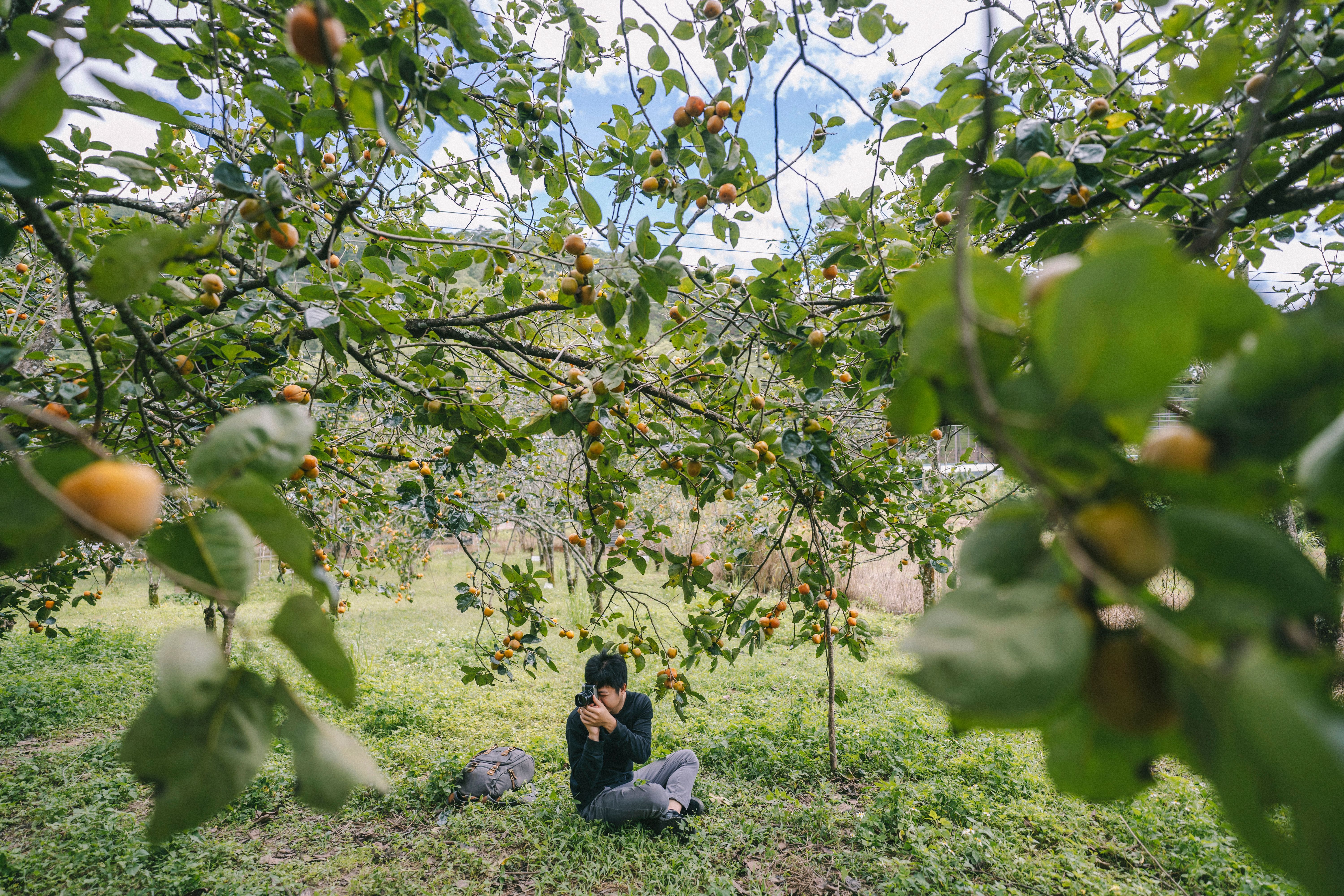 A working holiday backpacker doing seasonal farm work in rural Australia