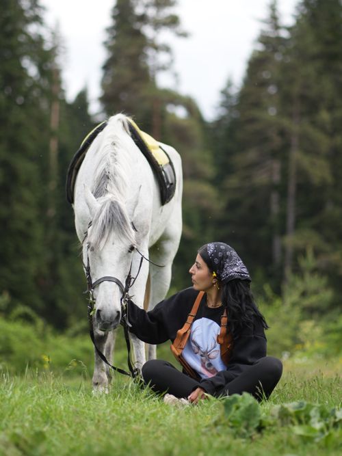 Free A serene moment captured between a young woman and a beautiful white horse in a lush forest setting. Stock Photo