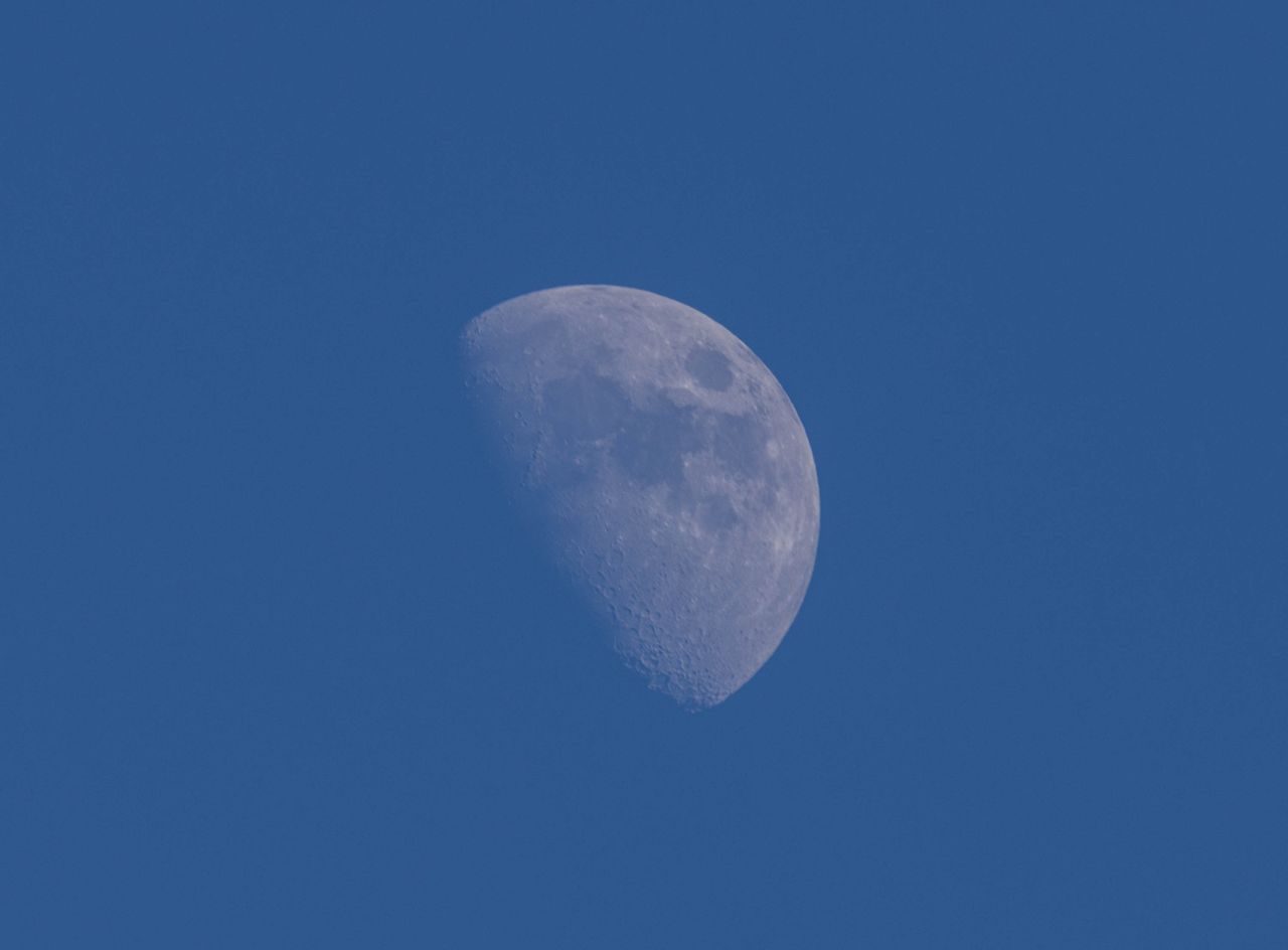 Daytime Lunar Occultation of Venus Observed in North America