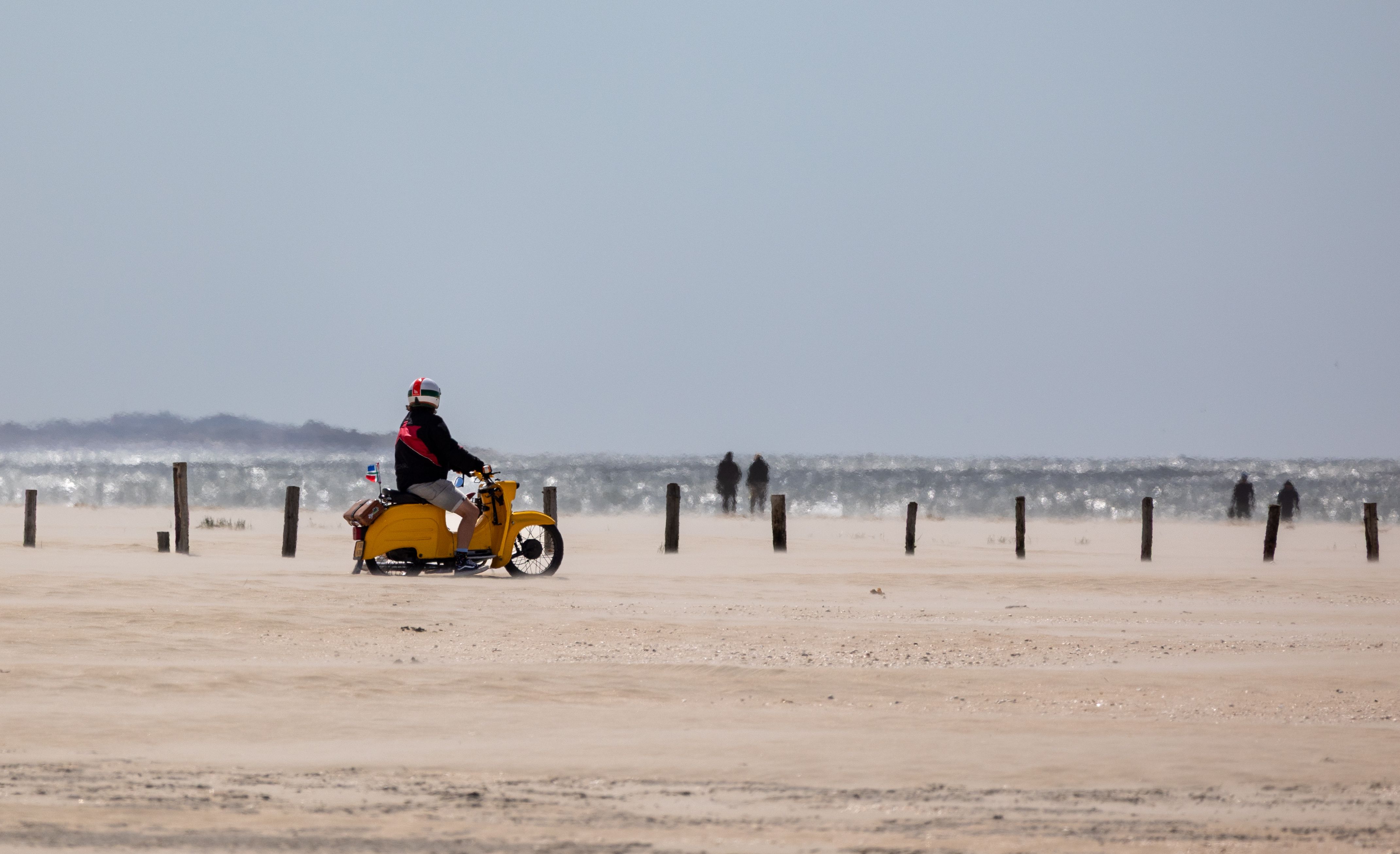 Tours, activities & tickets in Vlieland