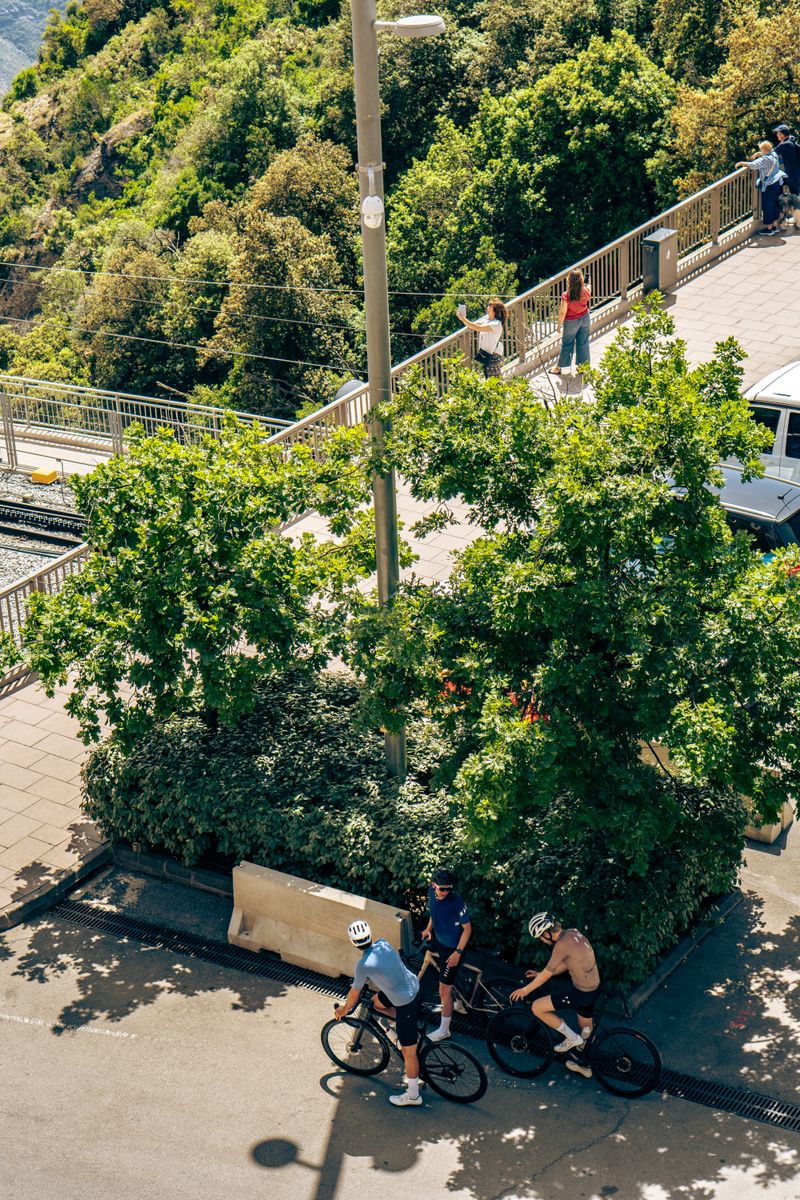 Back View of Cyclists on Street · Free Stock Photo