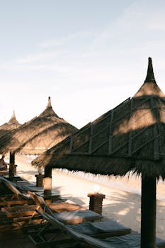 Serene beach scene with thatched umbrellas and lounge chairs at sunrise, evoking relaxation.