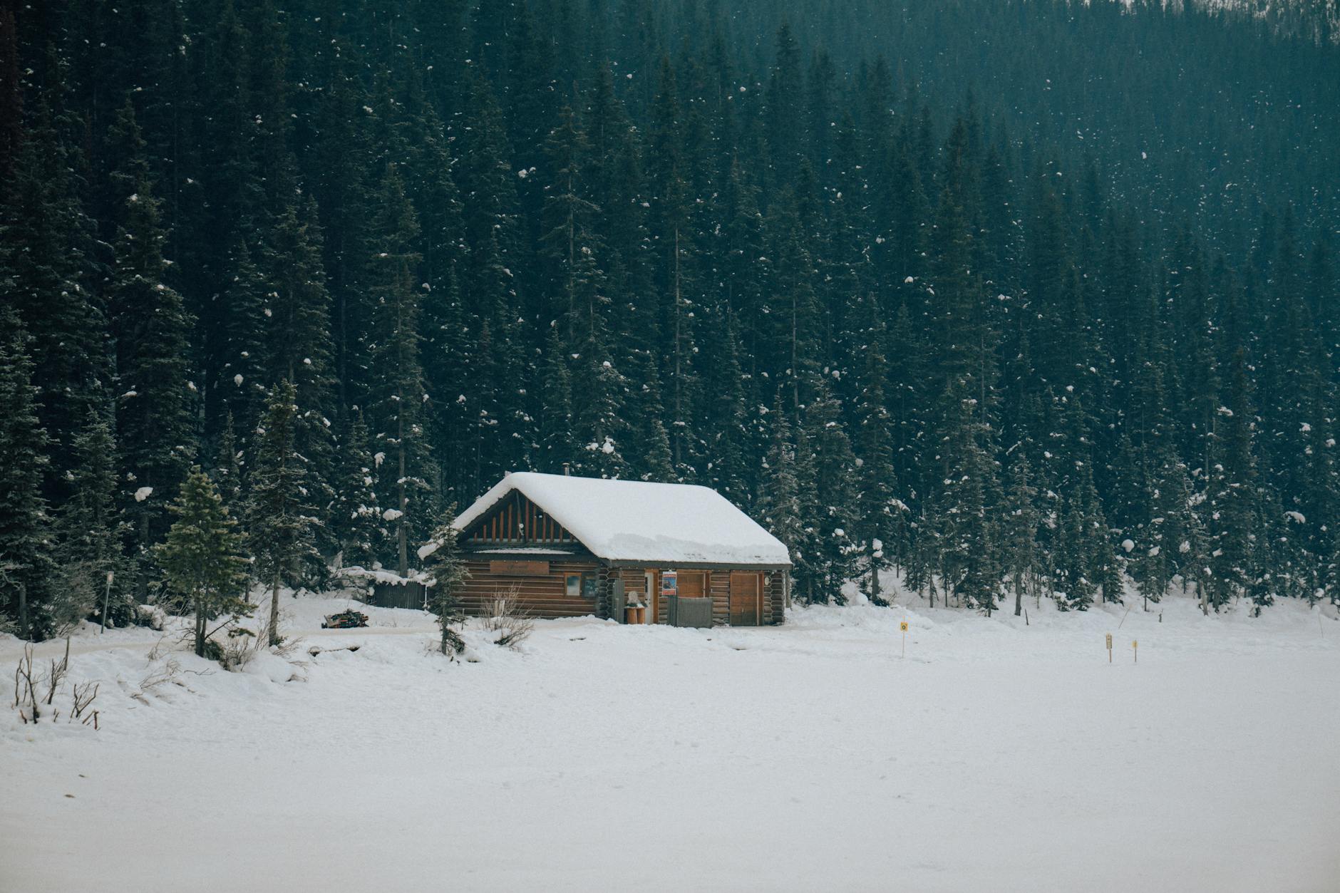 Airport transfers in Alberta Airport transfers in Alberta