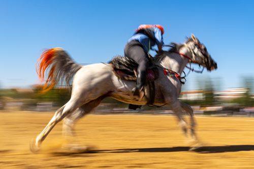 Free A thrilling motion blur shot of a horse and rider racing on a dirt track in Salihli, Türkiye. Stock Photo