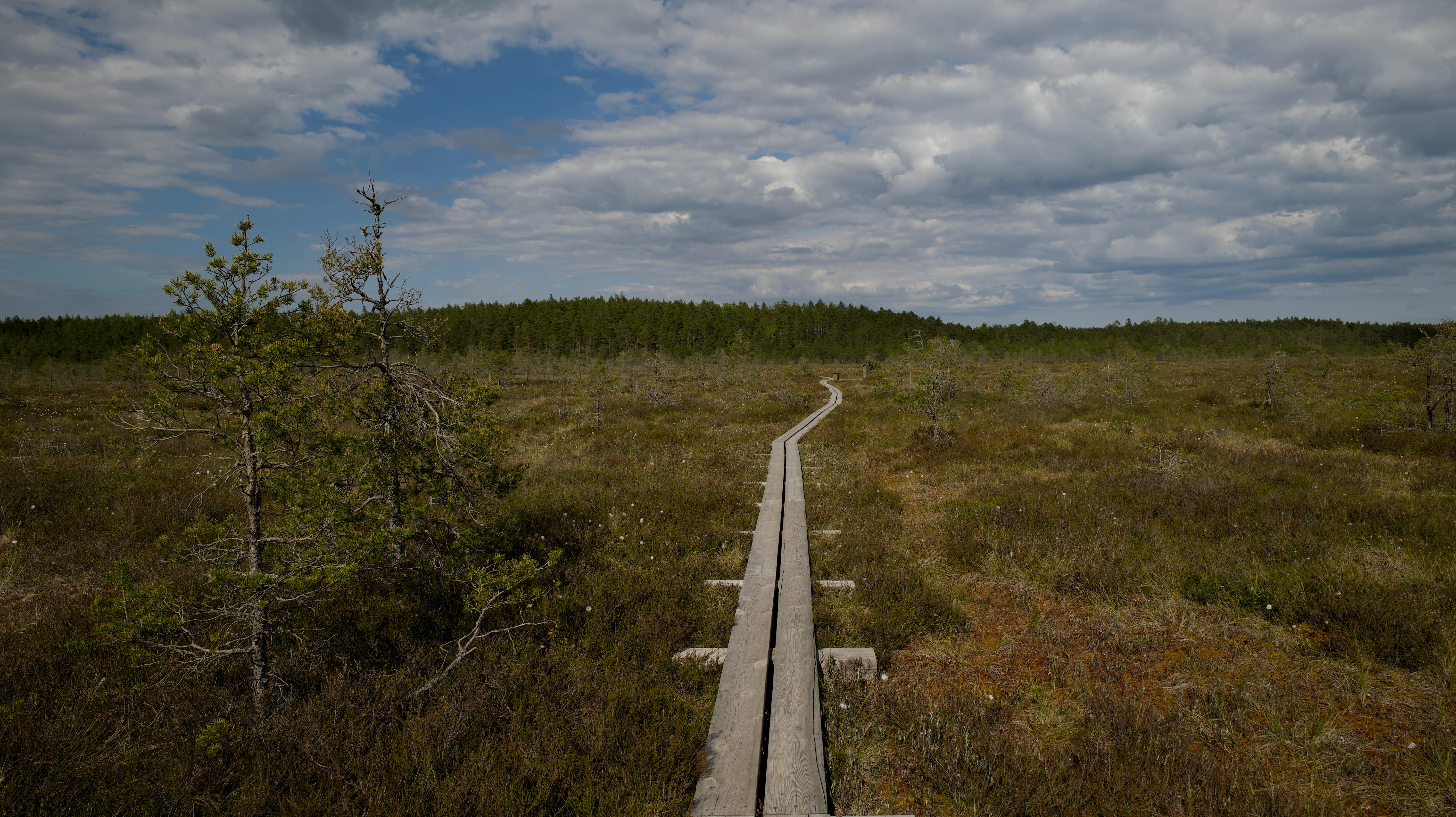 Hiking in Talkeetna