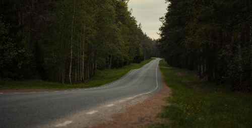 Free A tranquil forest road stretches into the distance, surrounded by lush green trees. Stock Photo