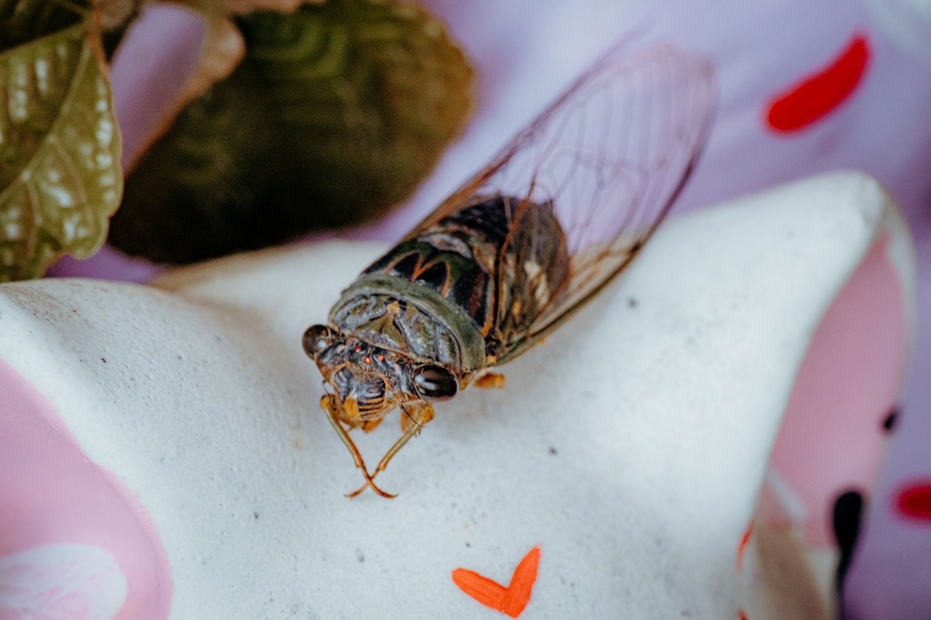 Creepy Crawlies Invade The Shed: Get Your Art On! photo