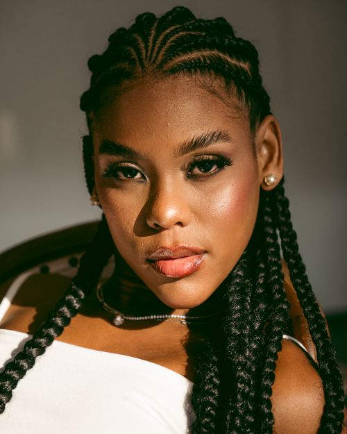 Free Close-up portrait of a woman with braided hair and elegant makeup, captured in natural light. Stock Photo