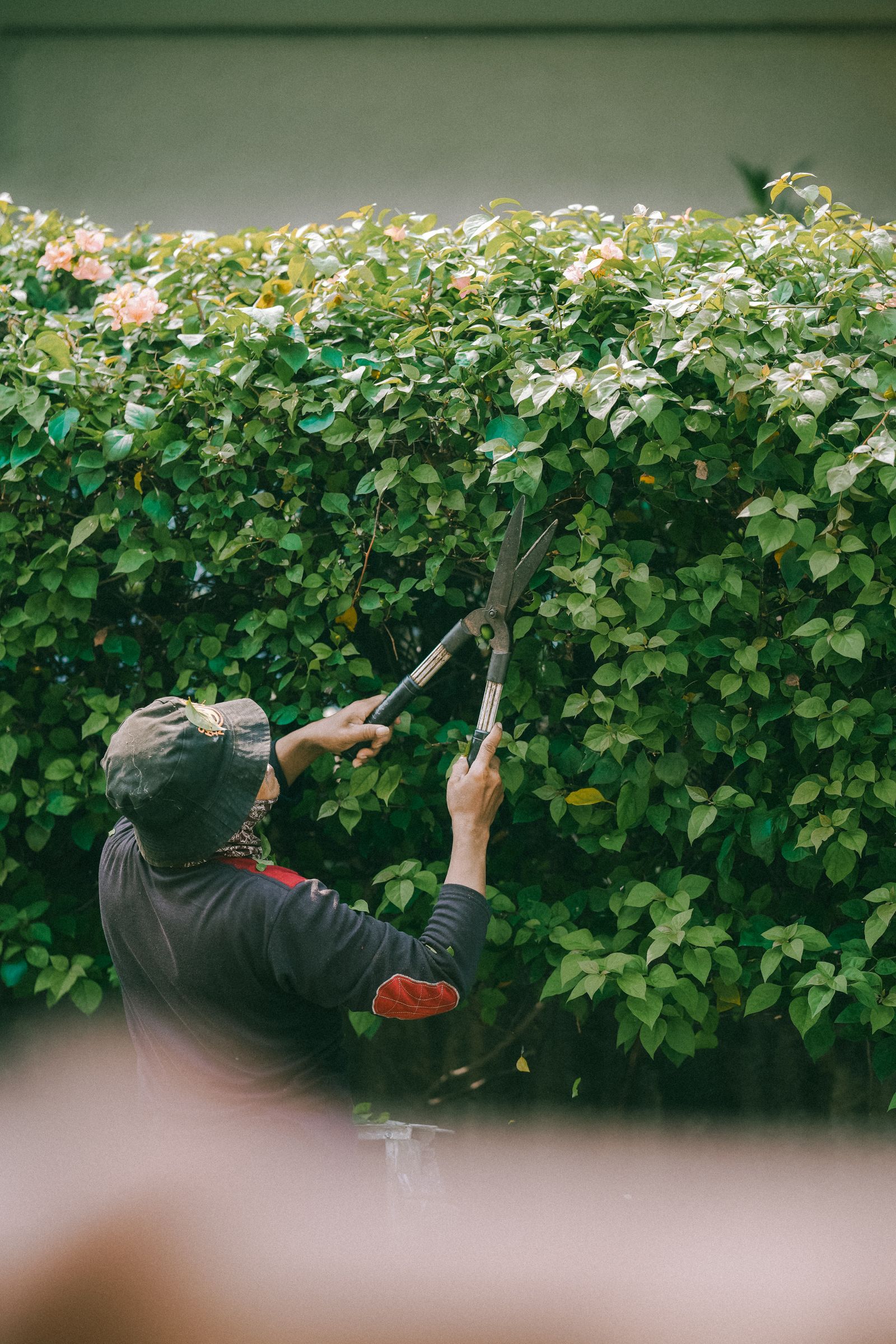 lavoro giardiniere italia aree verdi