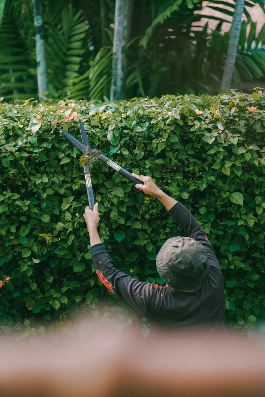 Create a Stunning Landscaping Website