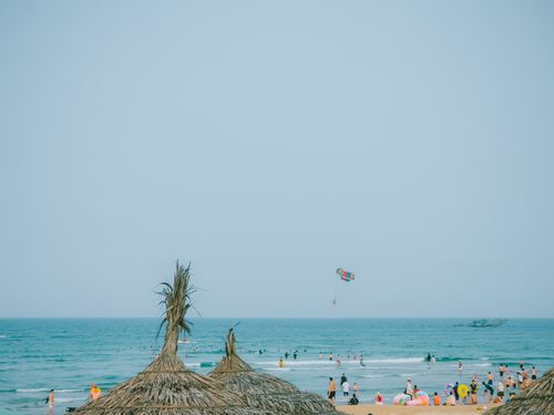 Free stock photo of a beautiful view, aesthetic flowers, beach vibes Stock Photo