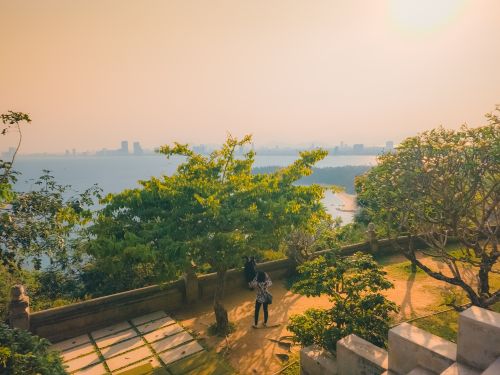 Free stock photo of a beautiful view, aesthetic flowers, beach vibes Stock Photo