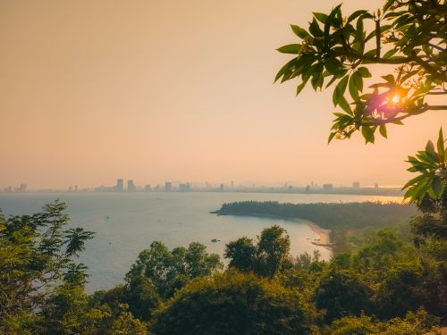 Free stock photo of a beautiful view, aesthetic flowers, beach vibes Stock Photo