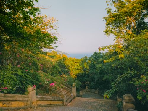 Free stock photo of a beautiful view, aesthetic flowers, beach vibes Stock Photo