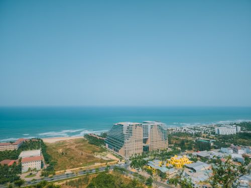 Free stock photo of a beautiful view, aesthetic flowers, beach vibes Stock Photo