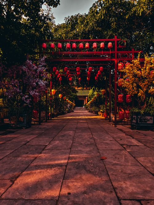 Free stock photo of a beautiful view, aesthetic flowers, beach vibes Stock Photo