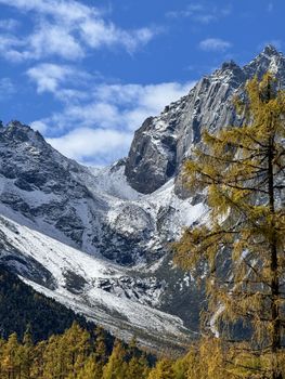 Stunning snow-capped mountains in China with vibrant autumn foliage under a clear blue sky.