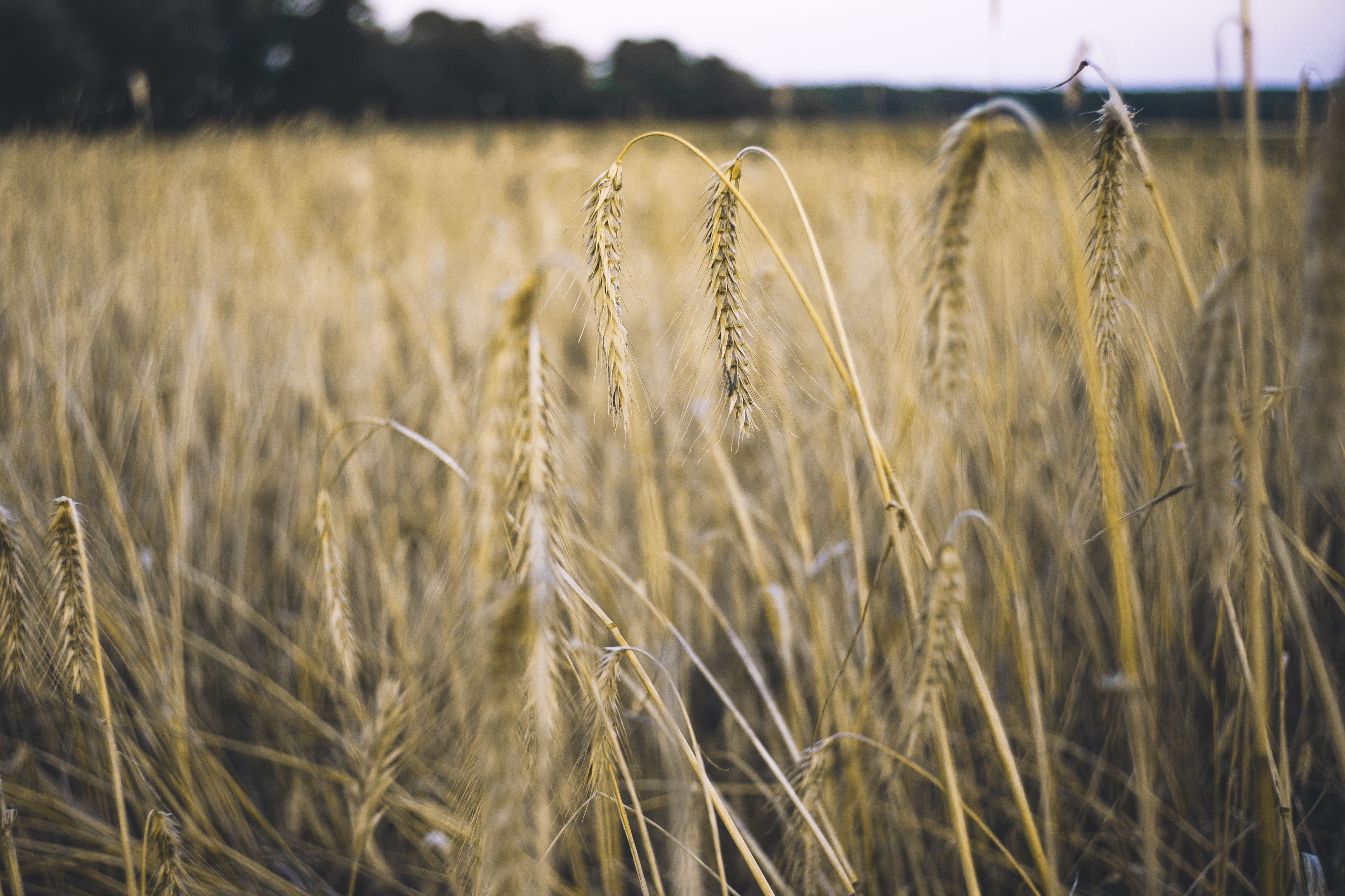 Kansas Achieves International Tourism Growth as Global Travelers Discover Heartland Destinations — Photo by Nataliia Zhytnyts