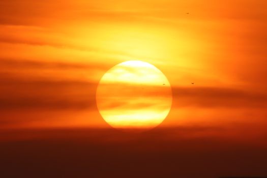 A breathtaking sunset with the sun setting behind clouds and birds flying across the vibrant sky.