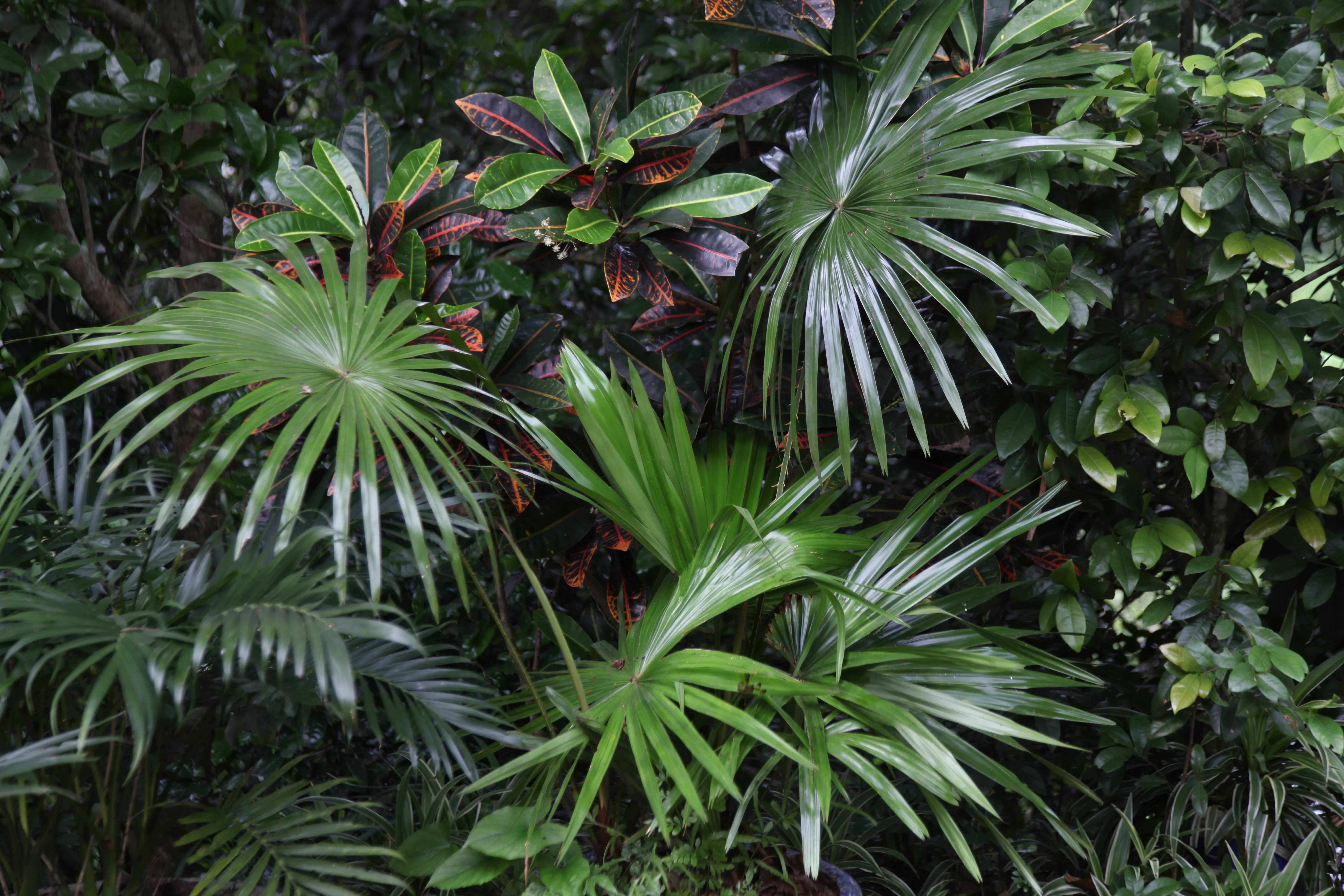 Indonesia Innovates With Impact-Based Disaster Early Warning System