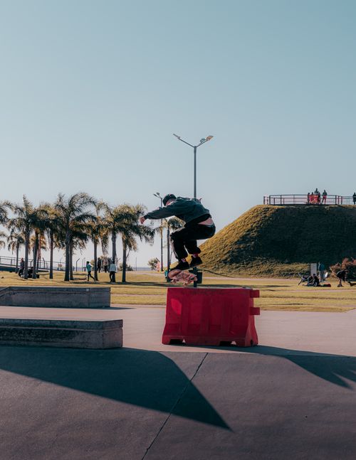 Free A skateboarder performs a trick over a red barrier in a sunny city park with palm trees. Stock Photo