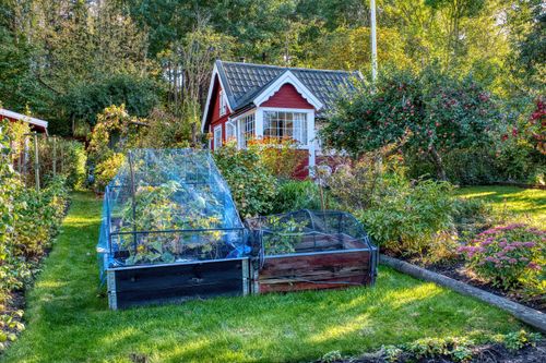 Free A picturesque red cottage surrounded by lush gardens in Stockholm on a sunny day. Stock Photo