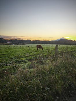 Unbreakable Dawn Beckons
