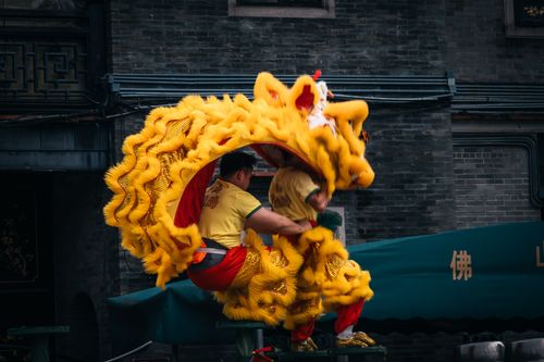 Free Vibrant lion dance performed in a Chinese cultural setting with traditional costumes. Stock Photo