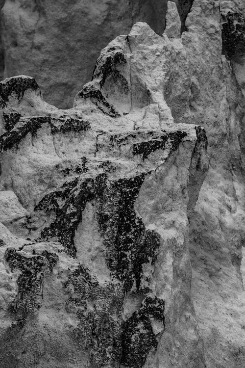 Free Monochrome close-up of a rugged rock surface with intricate textures. Stock Photo