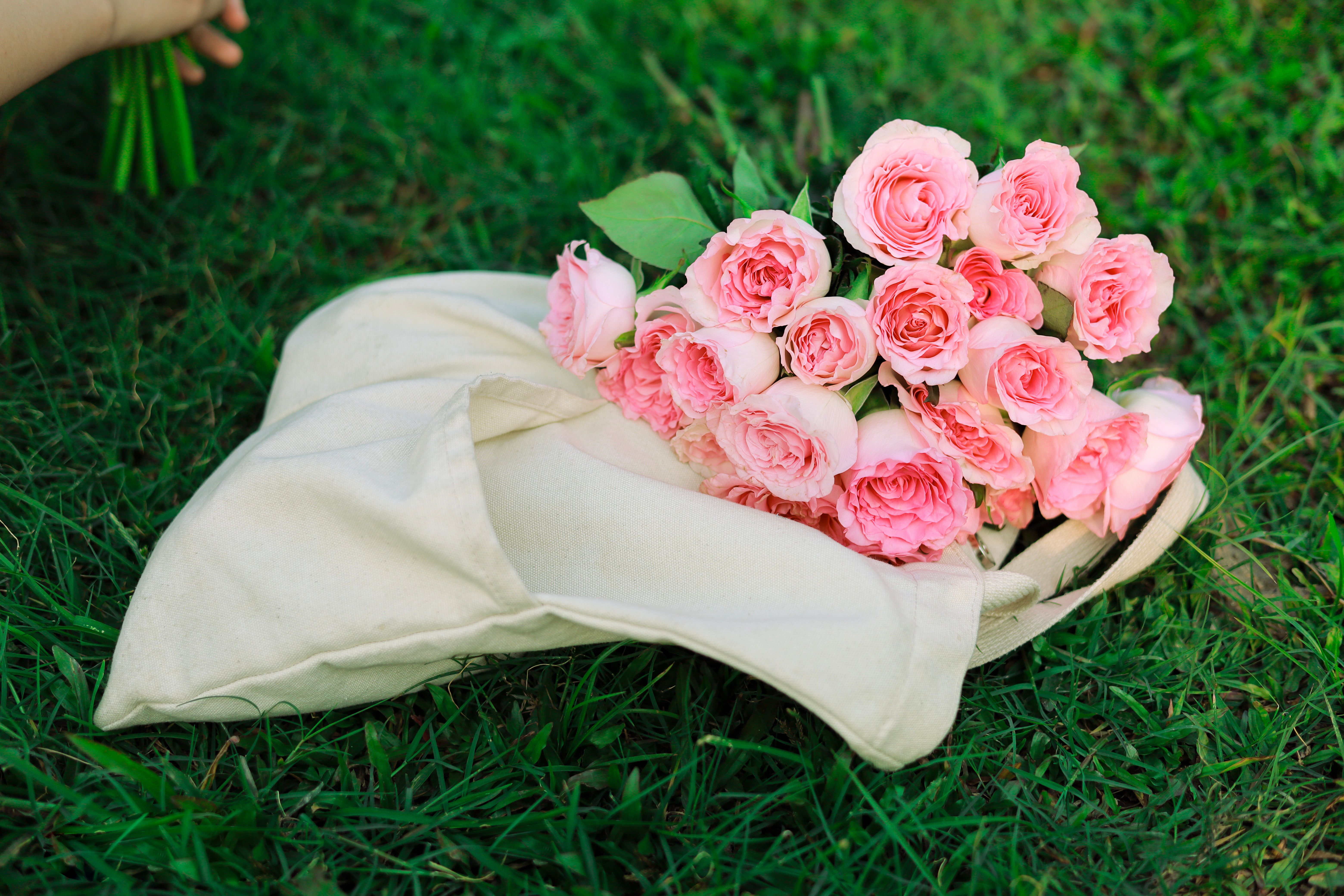 Pink Roses in Canvas Bag on Grass · Free Stock Photo