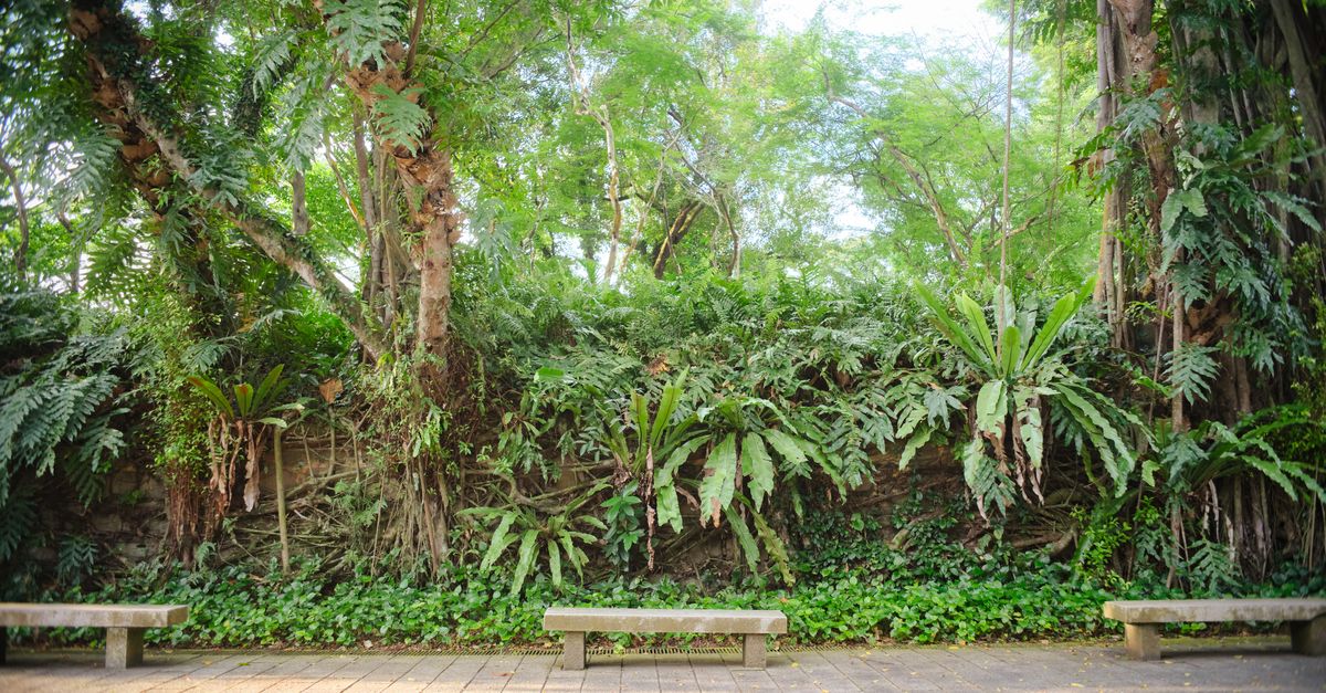Cómo Elegir el Jardín Perfecto para Tu Espacio Exterior