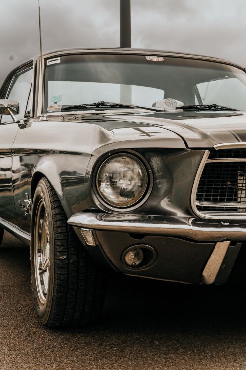 Free Close-up of a classic Mustang on display outdoors at a car show in Arras, France. Stock Photo